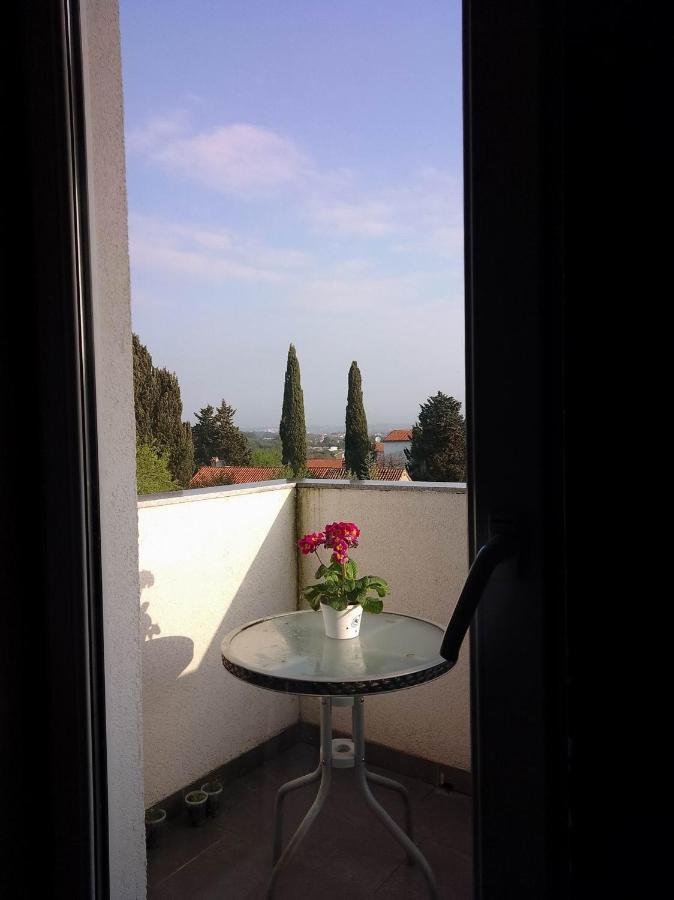 Abelia Sea View *
